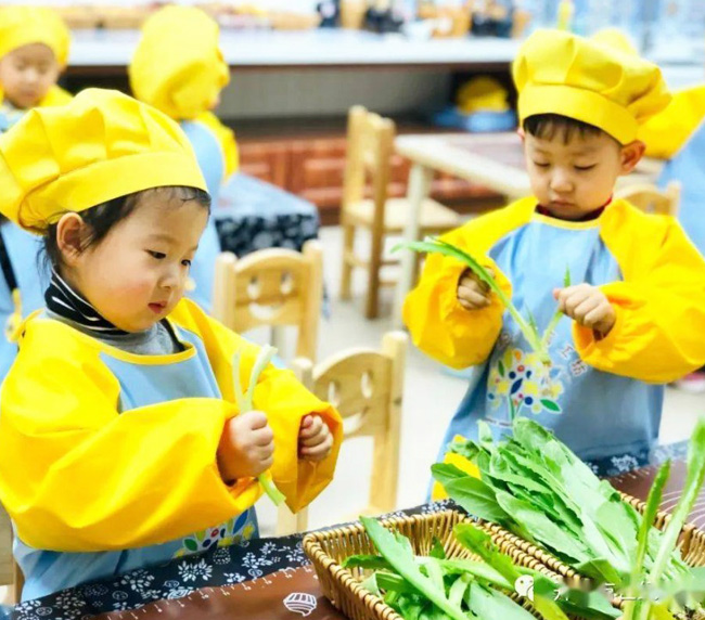 幼兒園生活館食育課程的內容建構