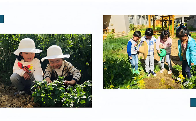 幼兒園種植區打造之虞永平，我與泥土二三事